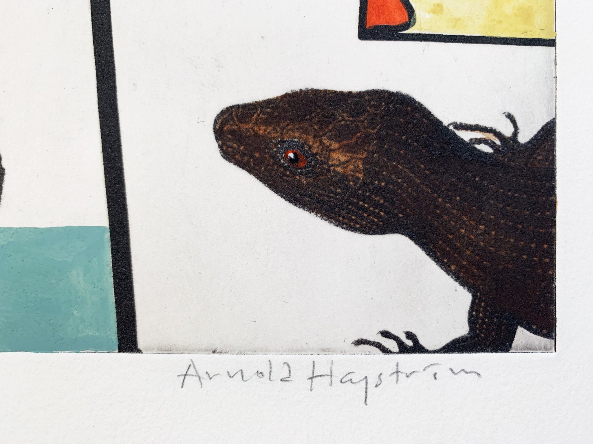 ARNOLD HAGSTRÖM | Lizard