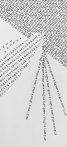 DOMENICO CERRONI CADORESI | Concrete Poetry